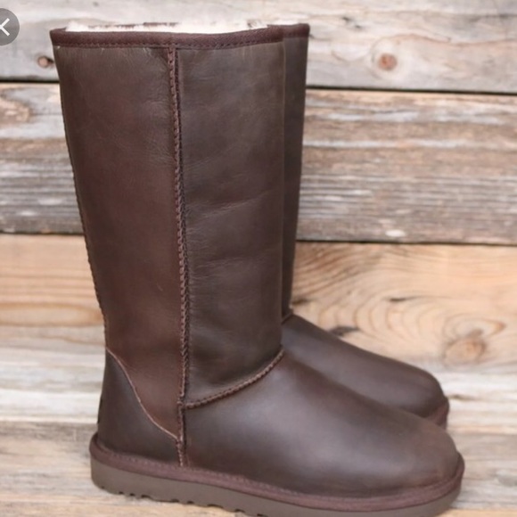 brown leather uggs